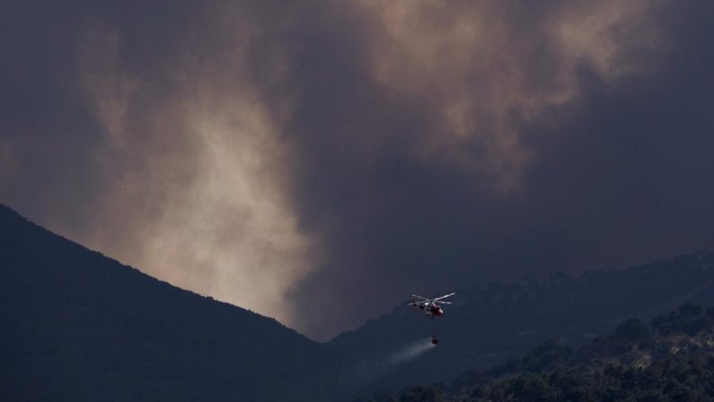 Incendi in Francia e Spagna, corsa contro il tempo per domare fiamme prima di nuova ondata di caldo