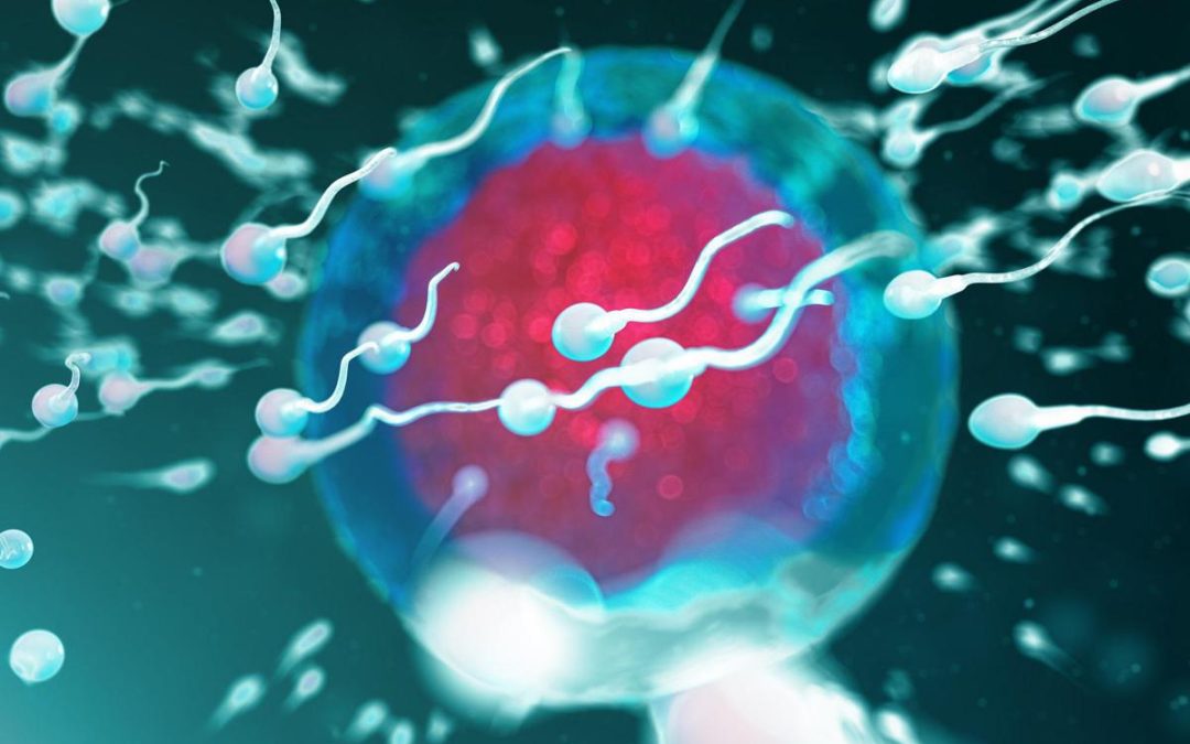 Fertilità, dove vive lui conta: regione di residenza e smog incidono su qualità sperma