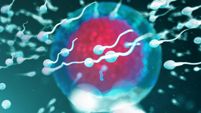 Fertilità, dove vive lui conta: regione di residenza e smog incidono su qualità sperma