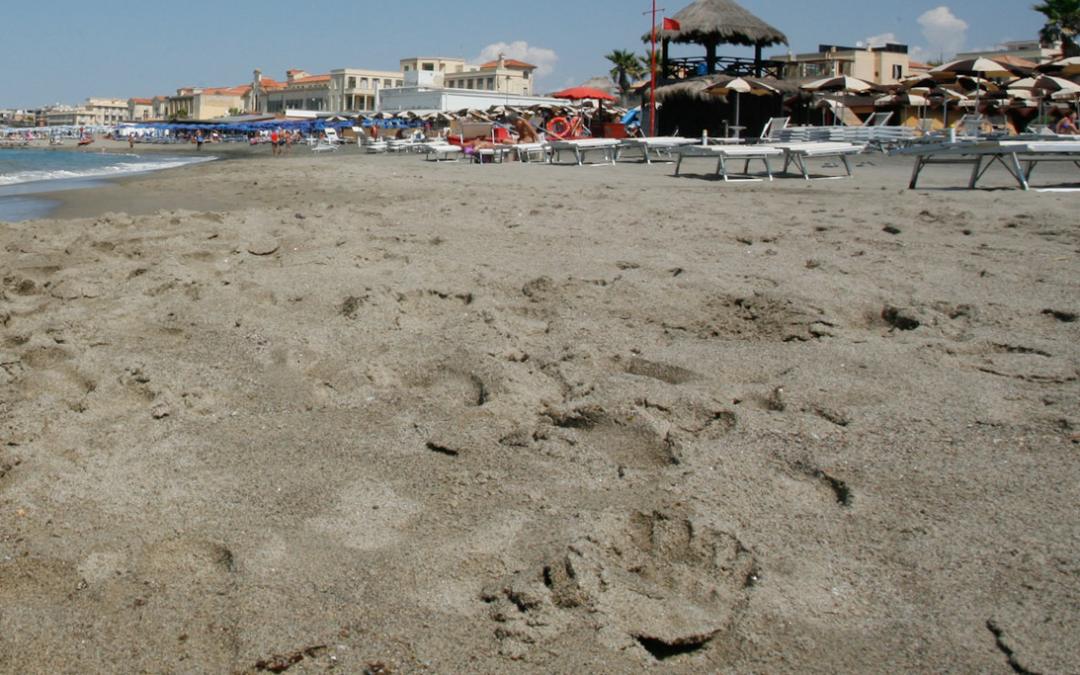 Ostia, si tuffa dal pontile e sbatte la testa: morto un ragazzo