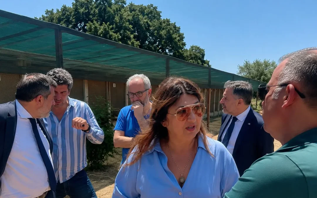 Tutela del benessere animale e contrasto al randagismo, l’assessore Straface avvia il tour istituzionale nei canili calabresi