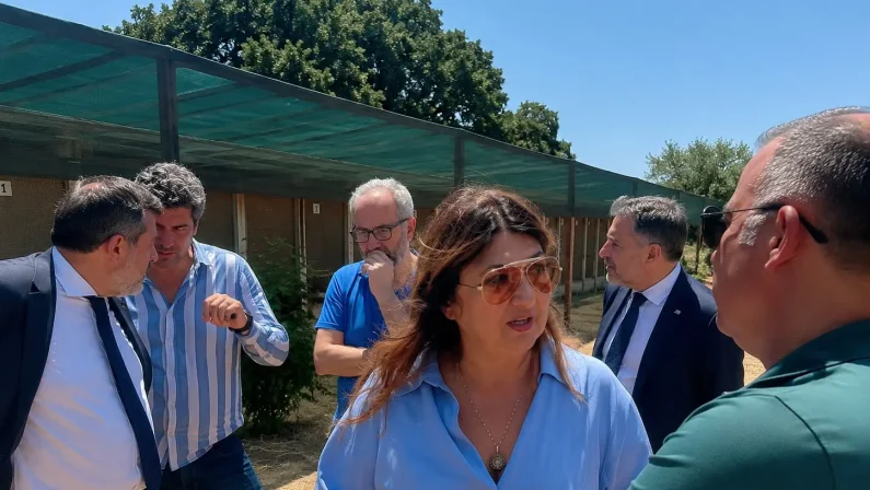 Tutela del benessere animale e contrasto al randagismo, l’assessore Straface avvia il tour istituzionale nei canili calabresi