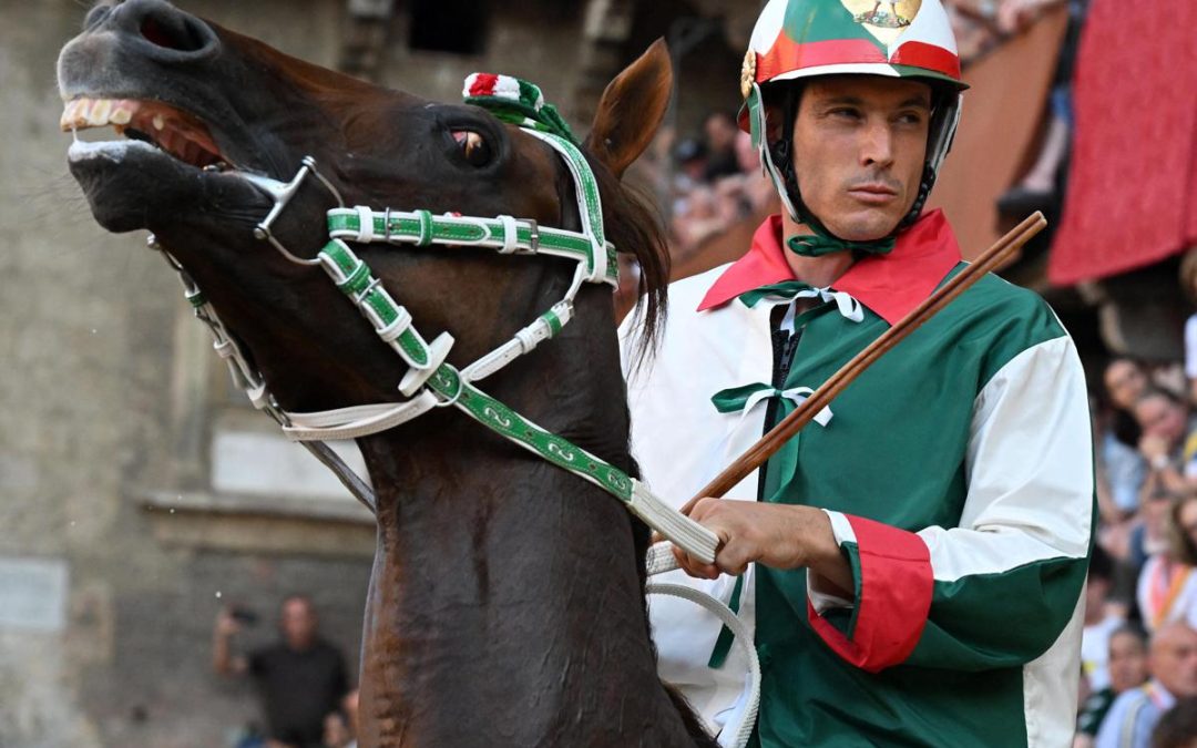 Aquila vince il Palio di Siena, Tittia fa 12: chi è il fantino dei record