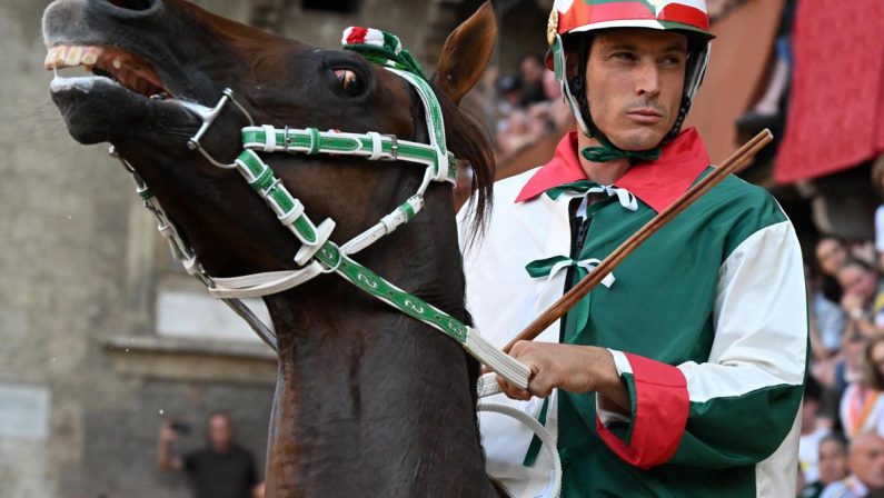 Aquila vince il Palio di Siena, Tittia fa 12: chi è il fantino dei record