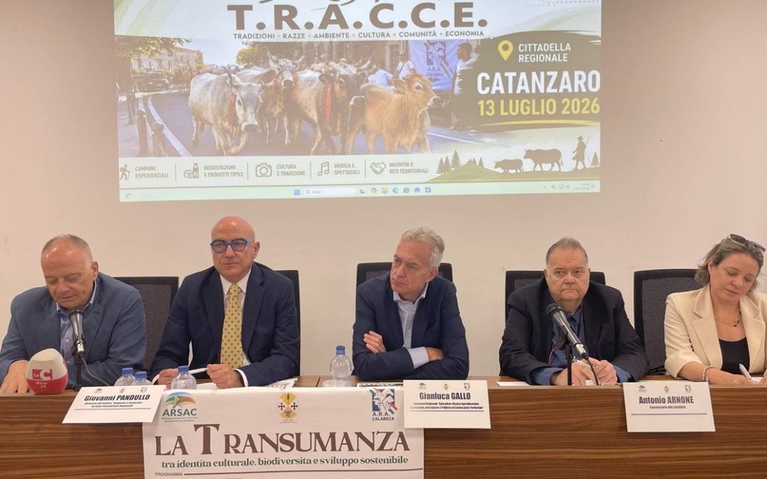 Transumanza, dalla Regione Calabria 45 milioni agli allevatori