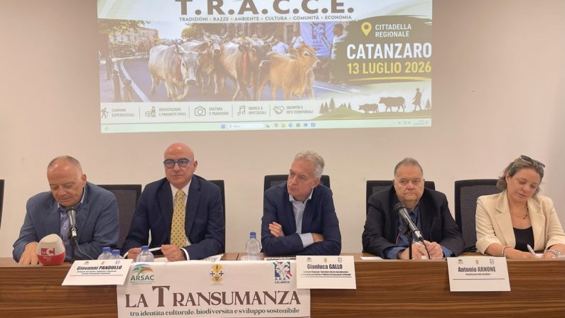 Transumanza, dalla Regione Calabria 45 milioni agli allevatori
