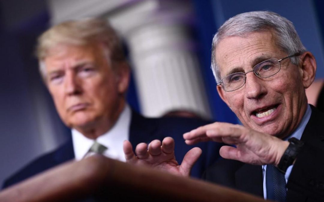 Covid Usa, Fauci si avvale del quinto emendamento. Trump: “Sue idee folli”