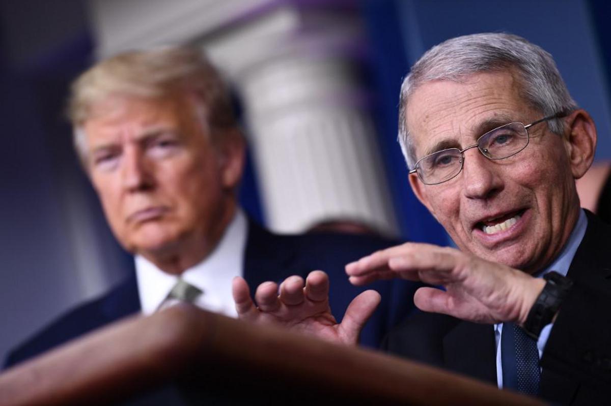 https://www.quotidianodelsud.it/wp-content/uploads/2026/07/trump-fauci-afp-1304.jpeg