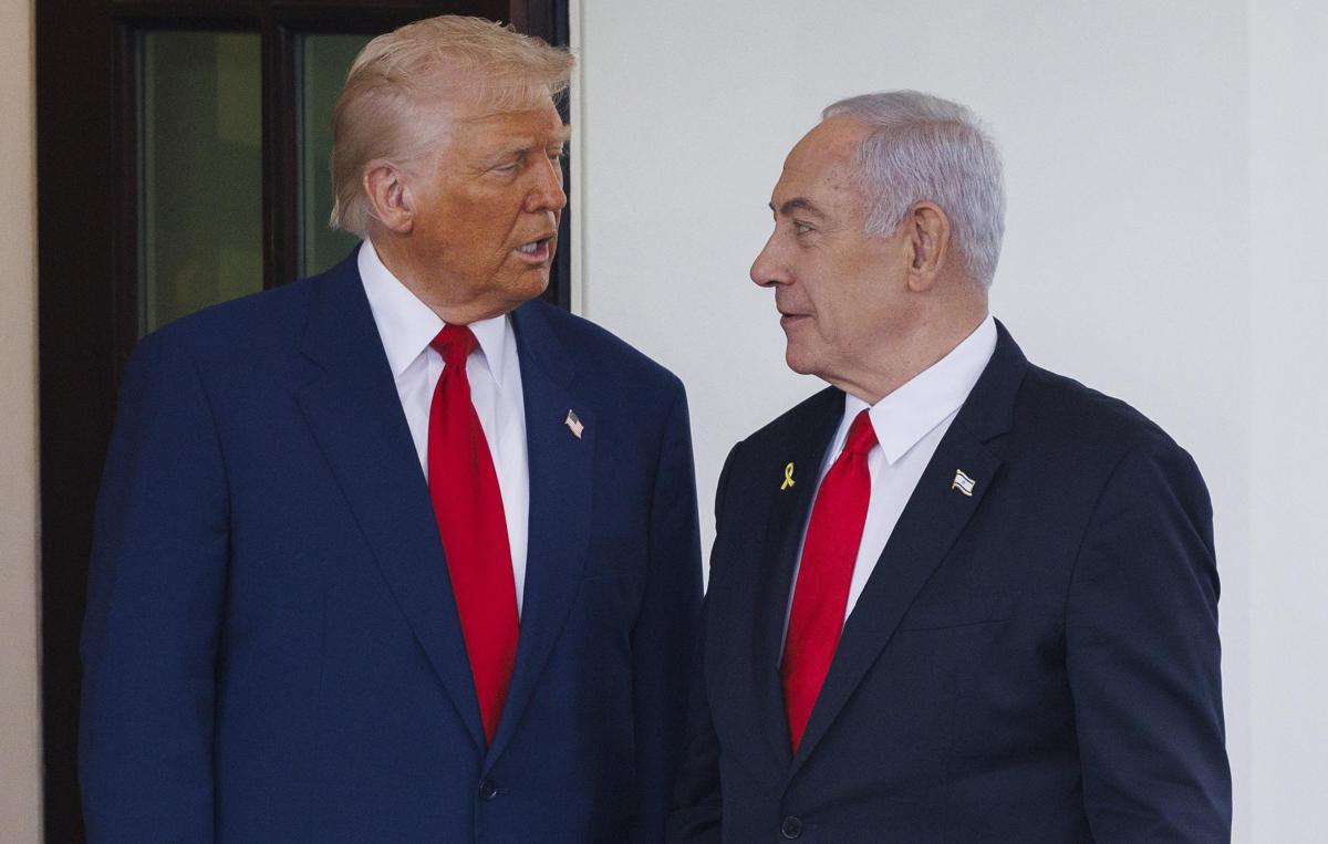 https://www.quotidianodelsud.it/wp-content/uploads/2026/07/trump-net-ipa-fg.jpeg