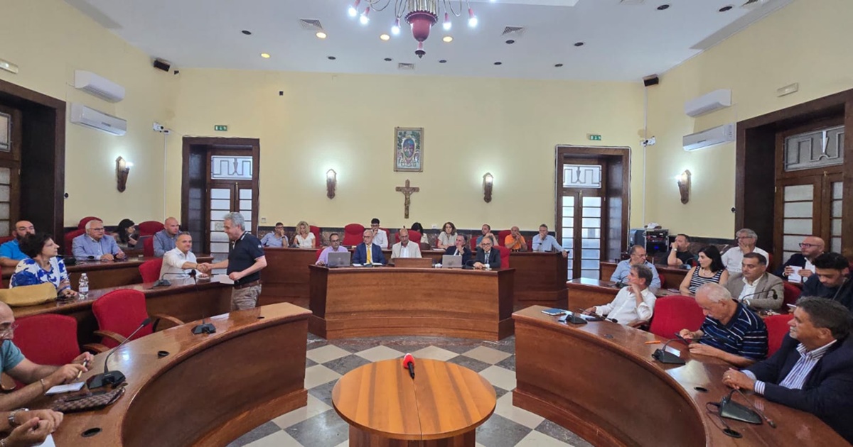 https://www.quotidianodelsud.it/wp-content/uploads/2026/07/vibo-conferenza-sindaci-sanita.jpeg