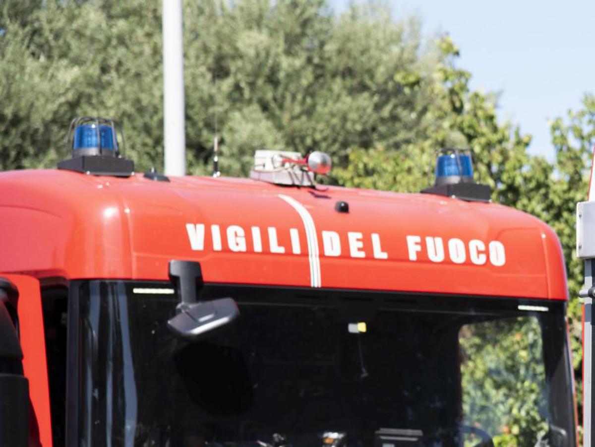 https://www.quotidianodelsud.it/wp-content/uploads/2026/07/vigili-fuoco99-fg.jpeg