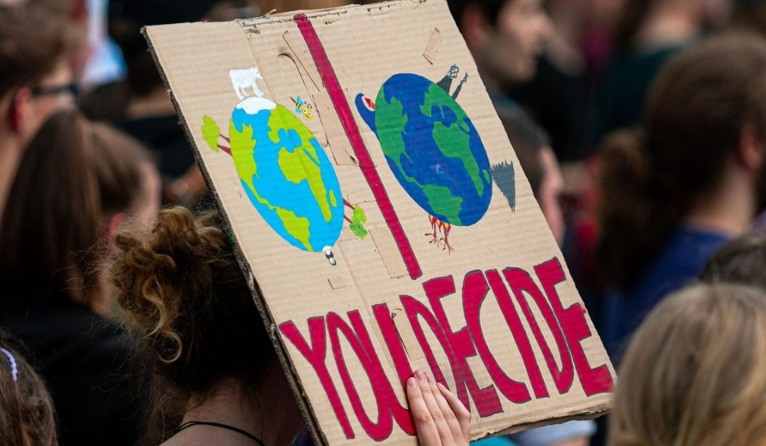 UNICAL VOICE – Caldo estremo e cambiamenti climatici: la voce degli studenti