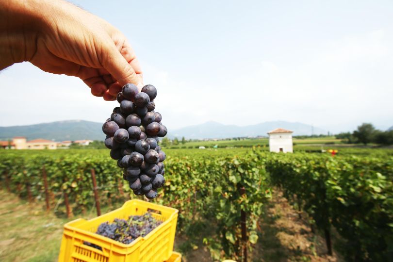 https://www.quotidianodelsud.it/wp-content/uploads/2026/08/20230401-0401.jpg