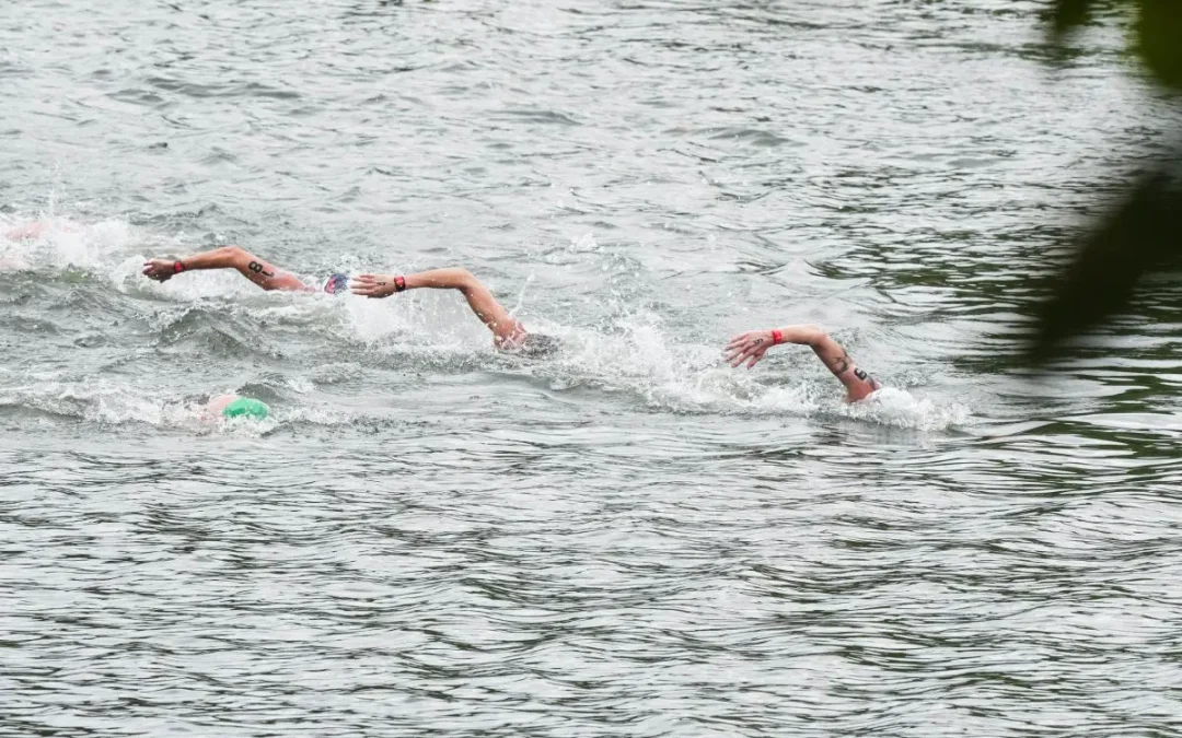 Bronzo per Paltrinieri nella 5 km agli Europei di fondo, oro a Wellbrock