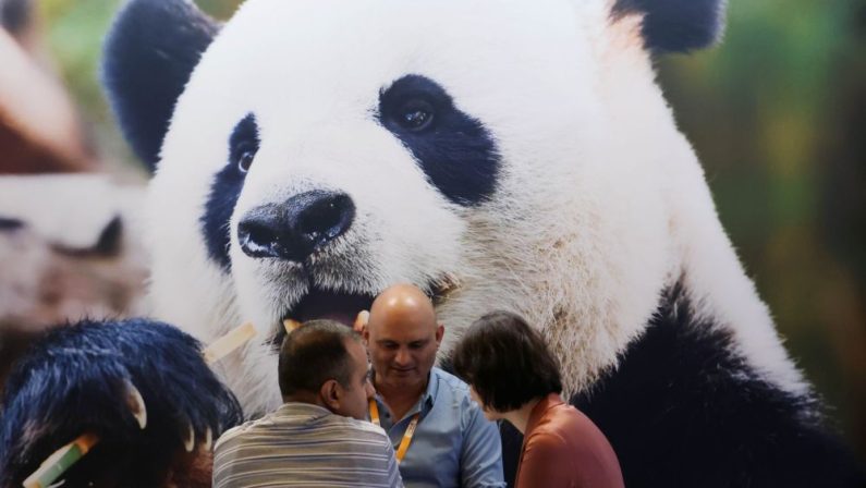 Cina, in aumento dell’11,3% i ricavi dell’industria pubblicitaria