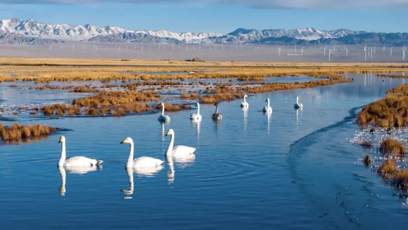 Cina, un piano per rendere gli ecosistemi più resilienti entro il 2030