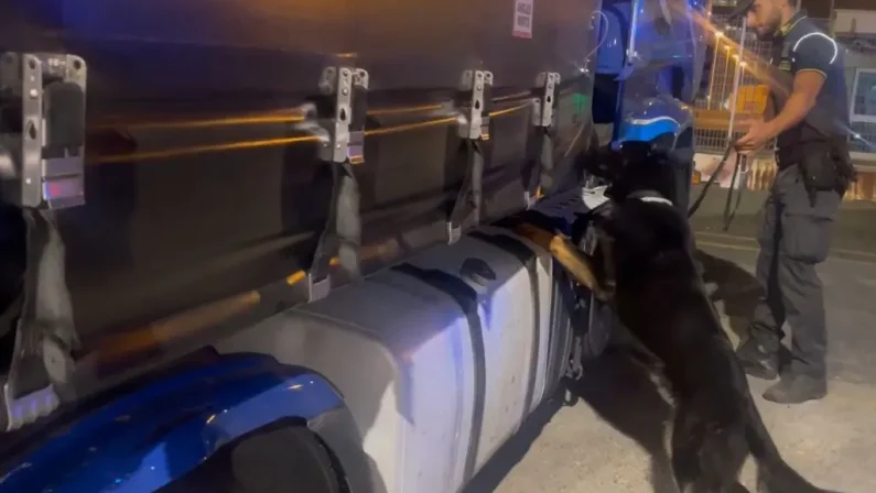 Sequestrati 85 kg di droga al porto di Civitavecchia, arrestato autista bulgaro