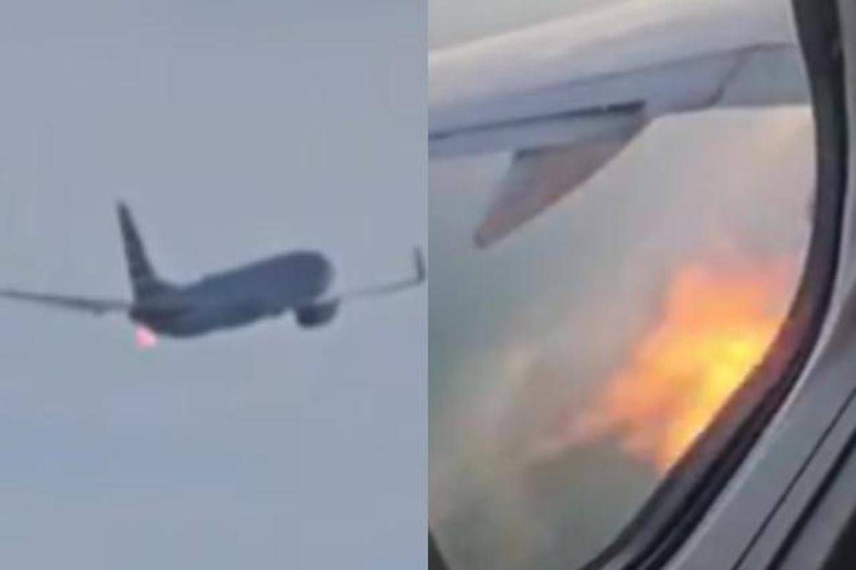 https://www.quotidianodelsud.it/wp-content/uploads/2026/08/aereo-american-airlines.jpeg