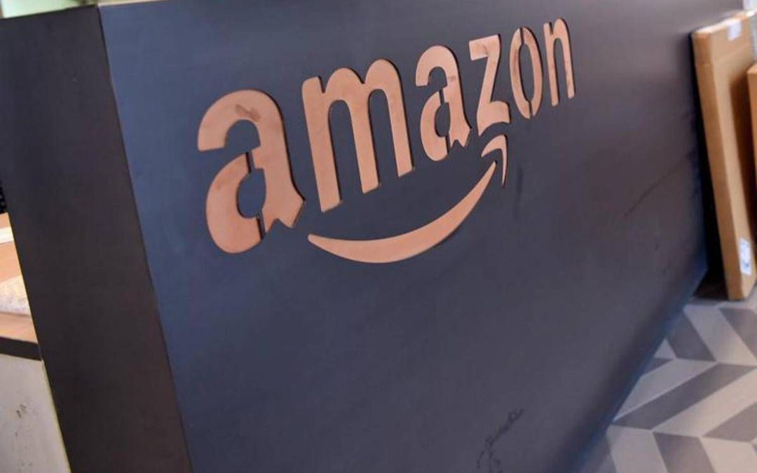 “Giocattoli morbidi sono pericolosi”, Amazon li rimuove dal catalogo