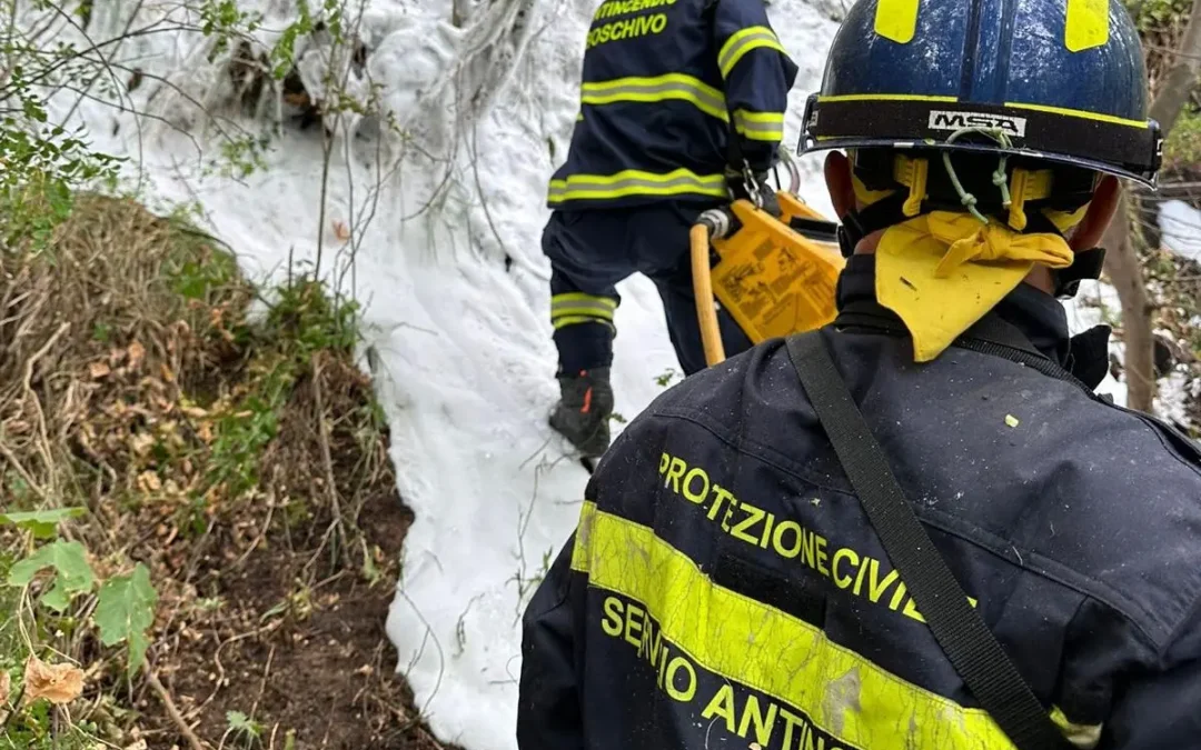 Gemellaggio Veneto-Calabria per il contrasto agli incendi boschivi, volontari veneti in missione in provincia di Cosenza