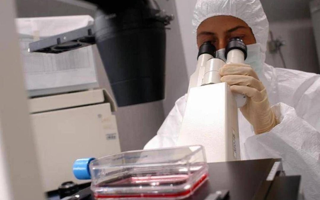 Florida, cresce l’allarme per il batterio mangiacarne: c’è una seconda vittima