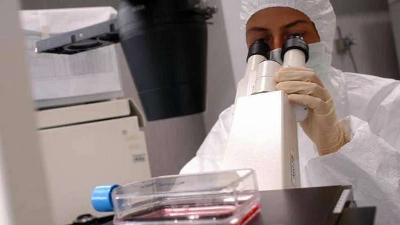 Florida, cresce l’allarme per il batterio mangiacarne: c’è una seconda vittima