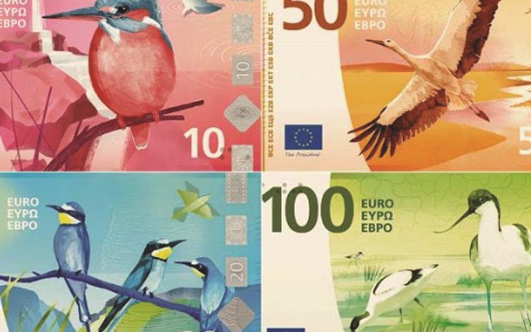 Una delle grafiche proposte per le banconote degli euro con la serie “Fiumi e uccelli"
