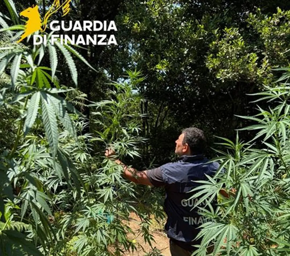 https://www.quotidianodelsud.it/wp-content/uploads/2026/08/calabria-gdf.jpg