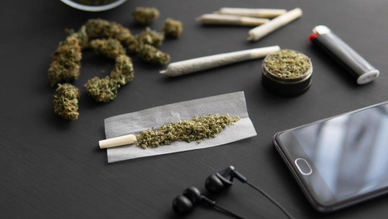 La cannabis fa bene al cuore? Uno studio ammette gli effetti positivi della marijuana