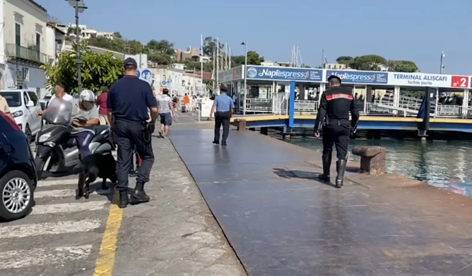 https://www.quotidianodelsud.it/wp-content/uploads/2026/08/carabinieri-ischia.jpeg