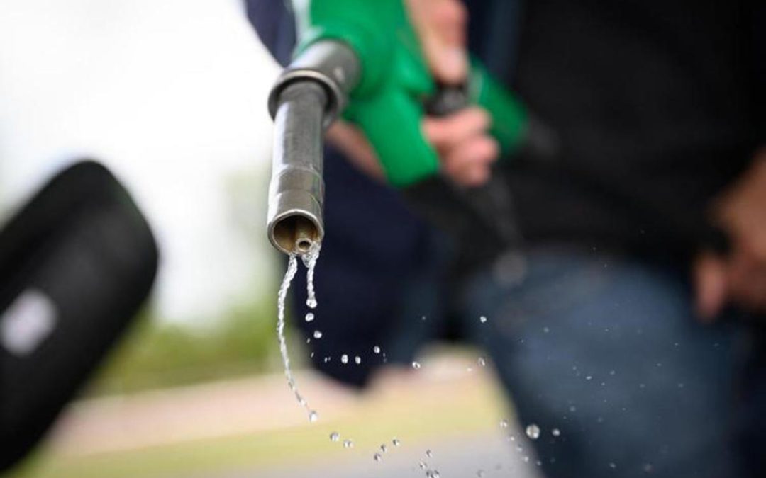 Carburanti, botta e risposta nel governo. Lega contraria a nuove tasse, Forza Italia assicura: “Con noi non ci saranno”
