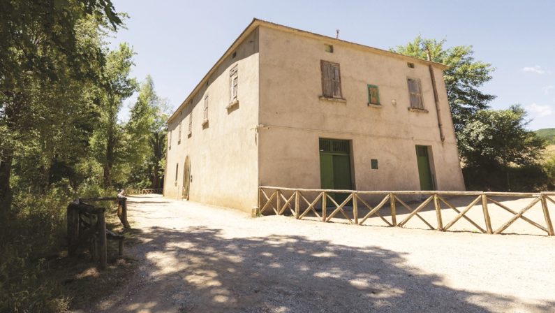 Musica, stelle, trekking a Casino Mollo in Sila