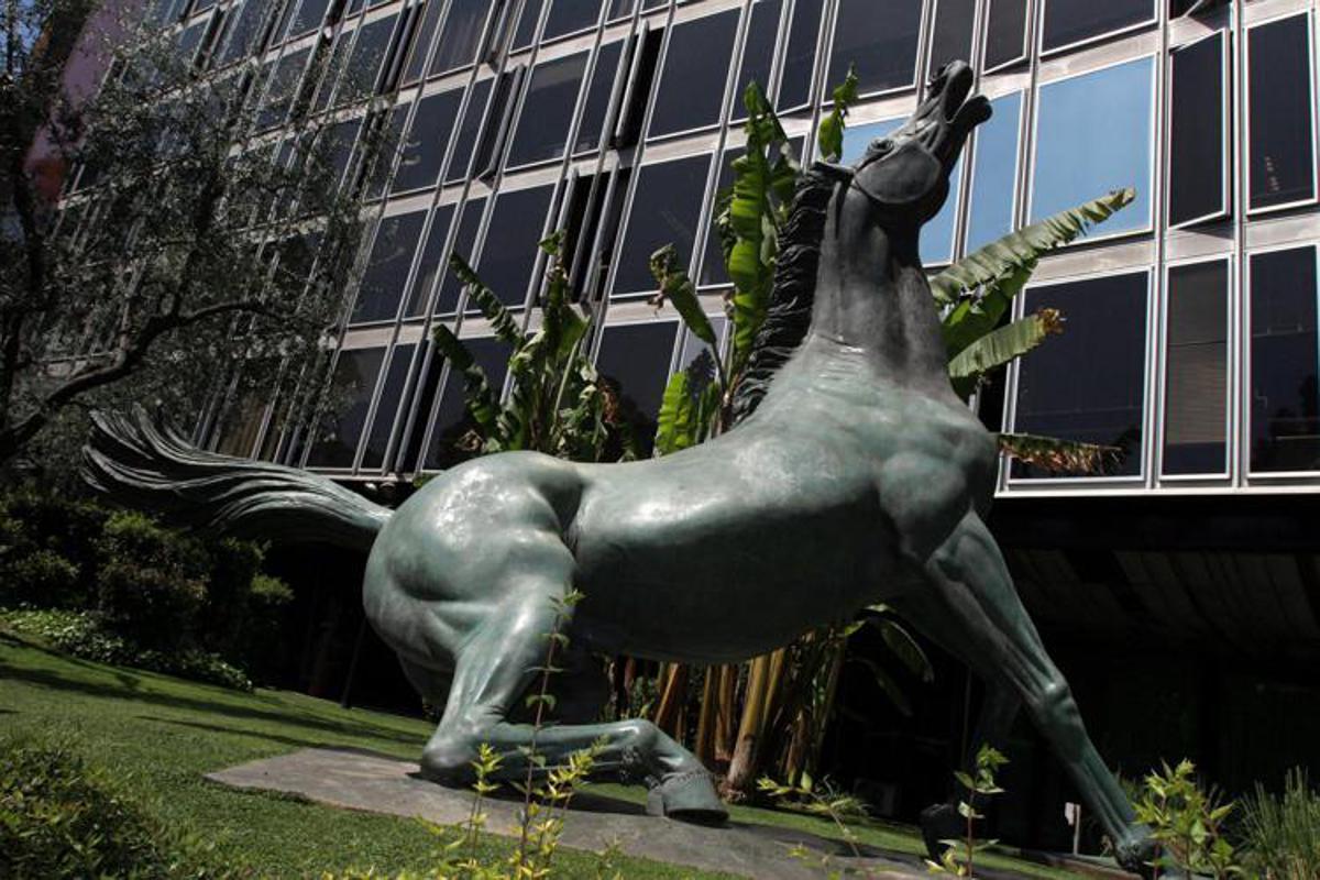 https://www.quotidianodelsud.it/wp-content/uploads/2026/08/cavallo-rai-fg.jpeg