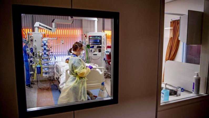 Verona, gravissimo il 18enne colpito da una bottigliata: “Tenuto in vita da terapie di supporto”
