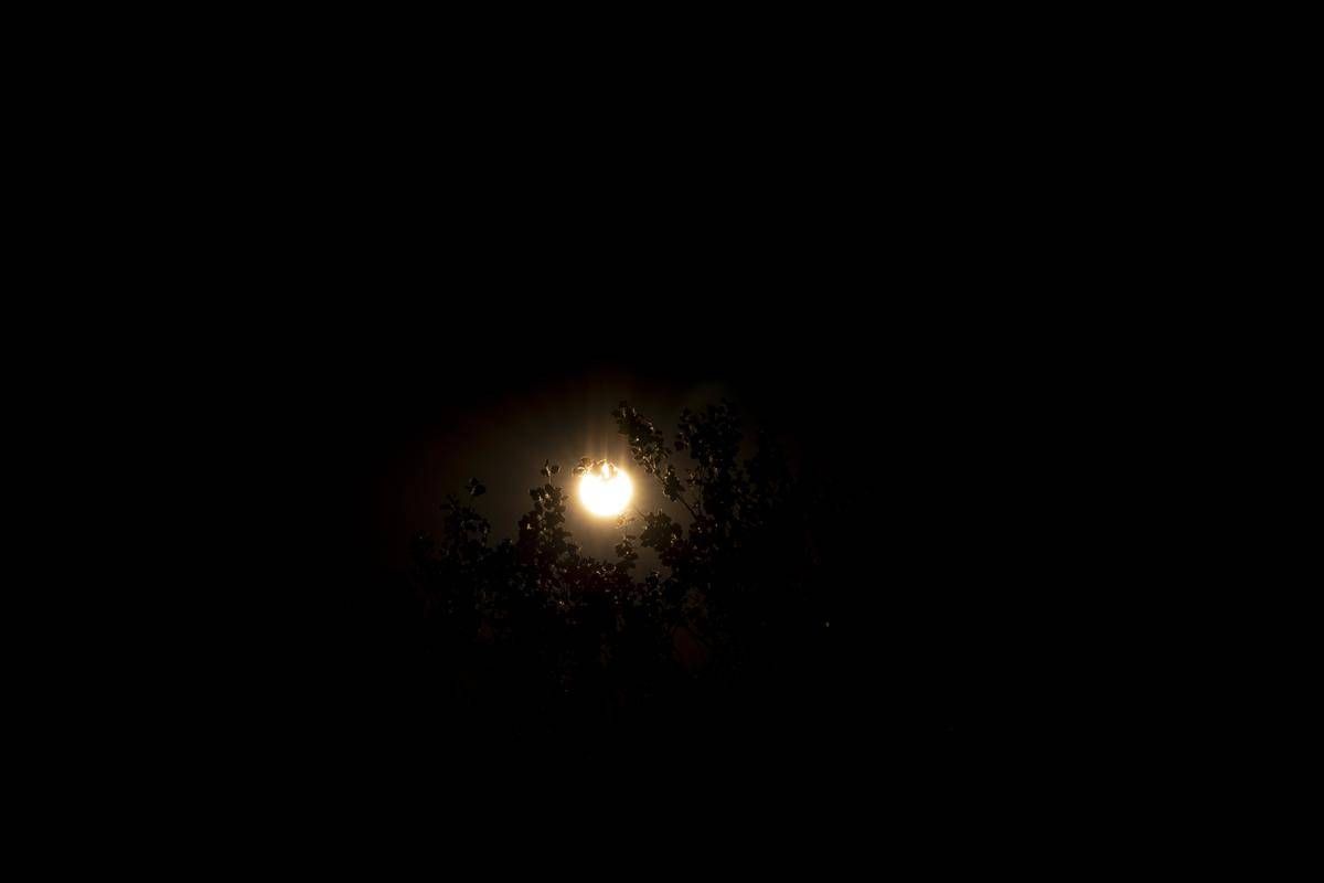 https://www.quotidianodelsud.it/wp-content/uploads/2026/08/eclissi.jpeg