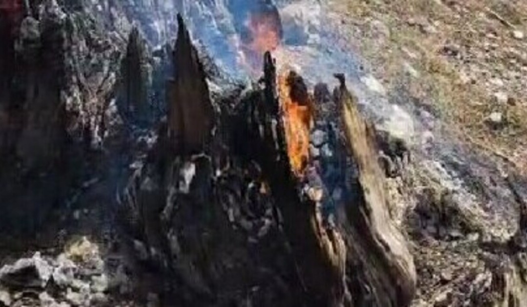 Fiamme nel Giardino degli Dei, sfregiato un monumento naturale