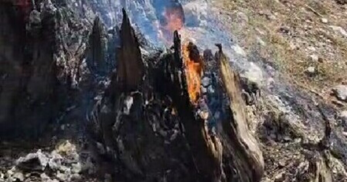 https://www.quotidianodelsud.it/wp-content/uploads/2026/08/fiamme-nel-giardino-degli-dei.jpg
