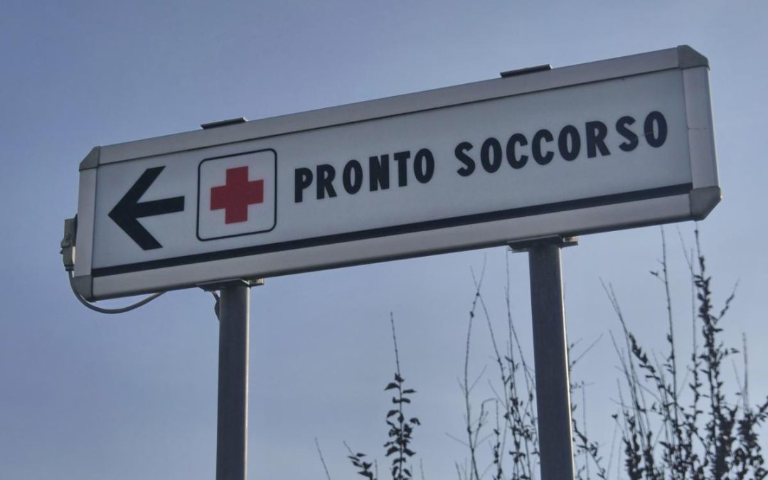 Due bambine azzannate da un cane randagio a Bari: una è in rianimazione