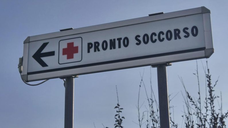 Due bambine azzannate da un cane randagio a Bari: una è in rianimazione
