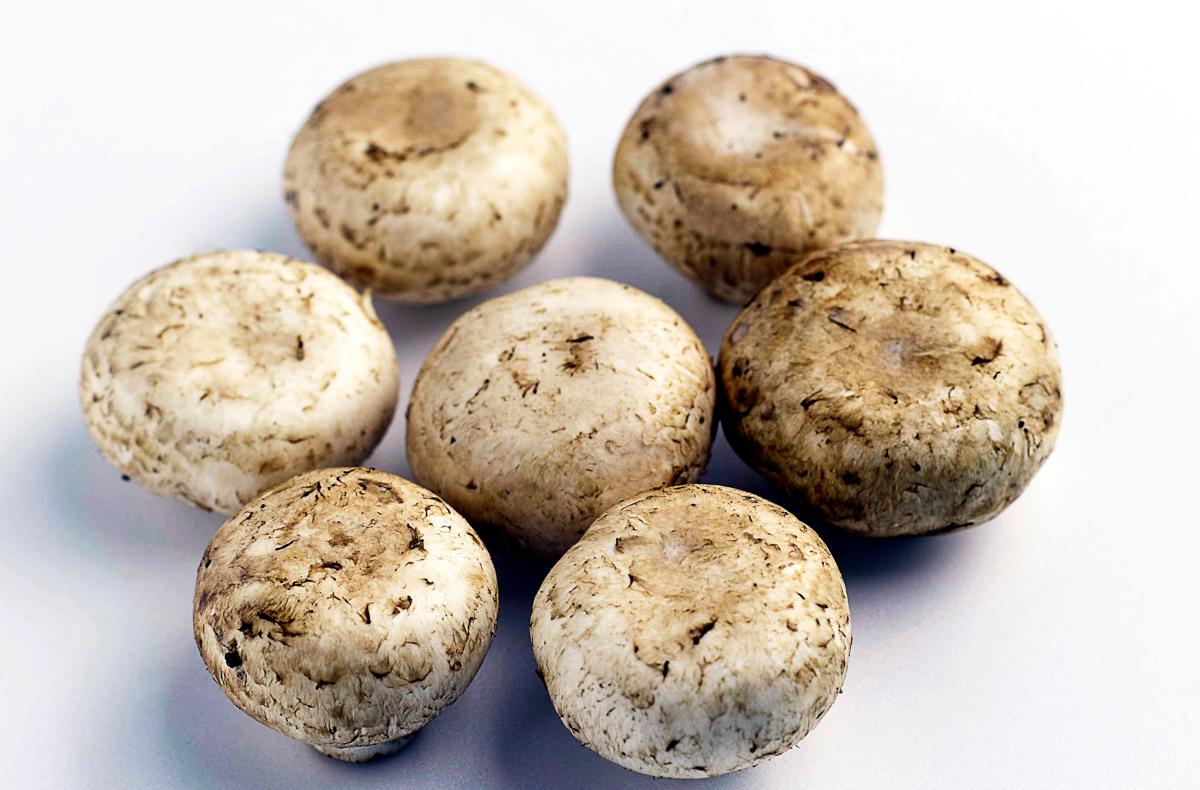 https://www.quotidianodelsud.it/wp-content/uploads/2026/08/funghi-champignon-123rf-free.jpeg