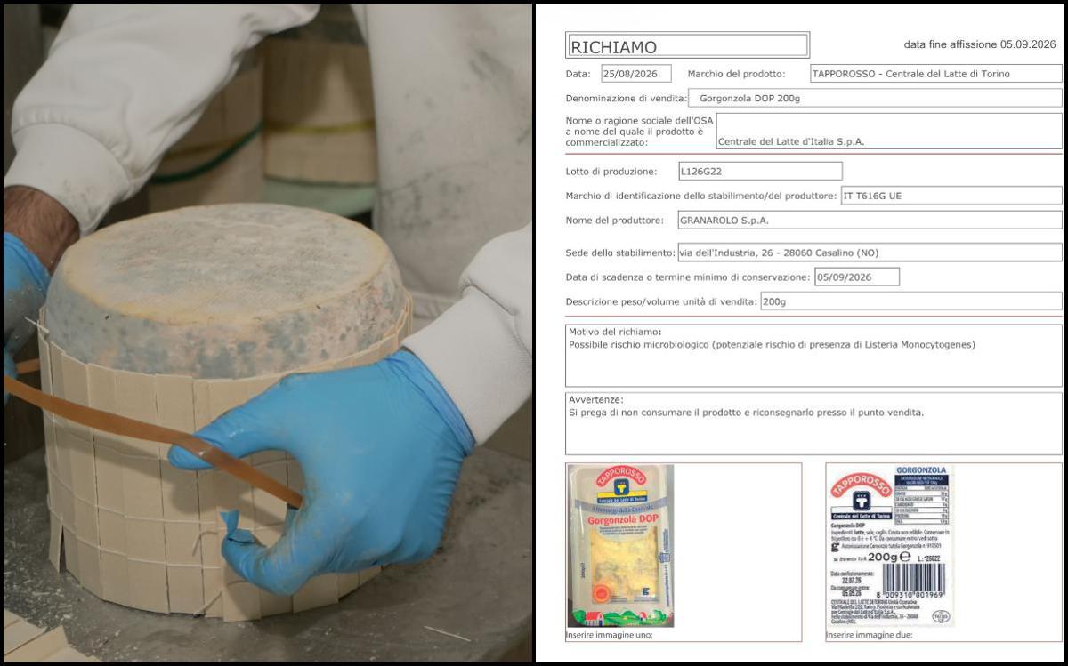 https://www.quotidianodelsud.it/wp-content/uploads/2026/08/gorgonzola.jpeg