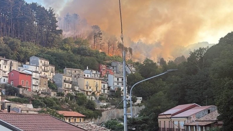 Vasto incendio a Gizzeria, fiamme vicine alle abitazioni. Intervento anche dei Canadair