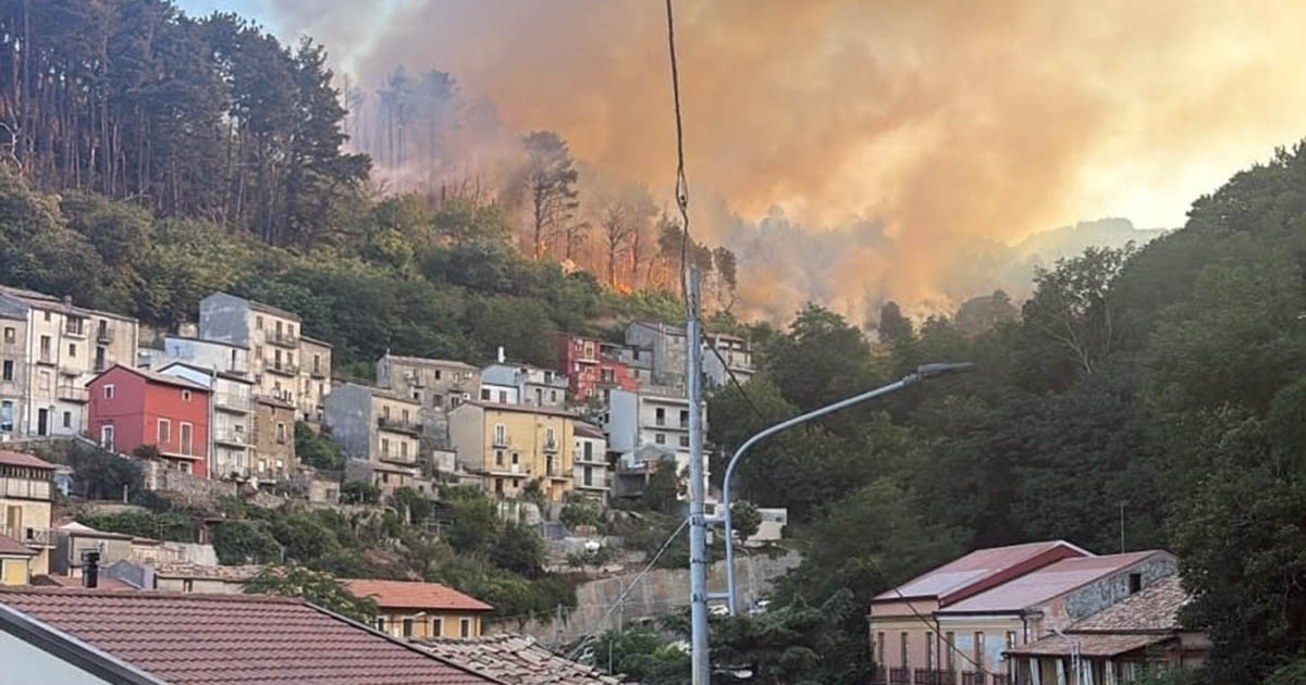 https://www.quotidianodelsud.it/wp-content/uploads/2026/08/incendio-gizzeria-1.jpeg