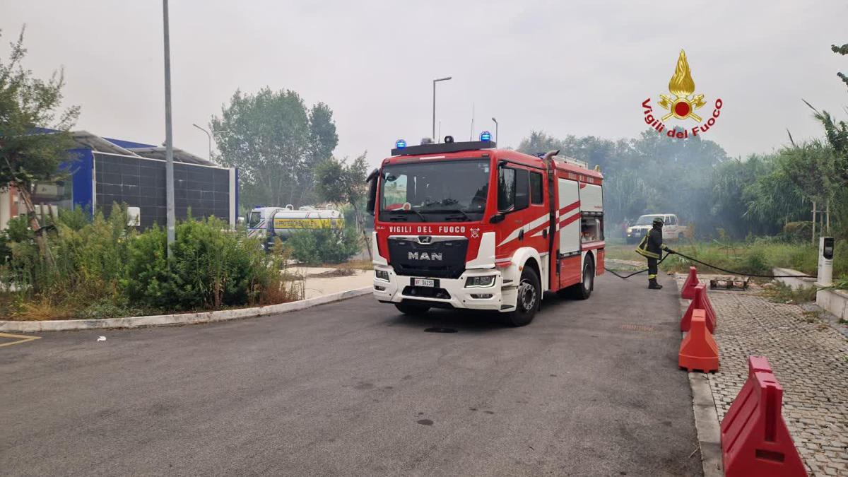 https://www.quotidianodelsud.it/wp-content/uploads/2026/08/incendio-magliana.jpeg