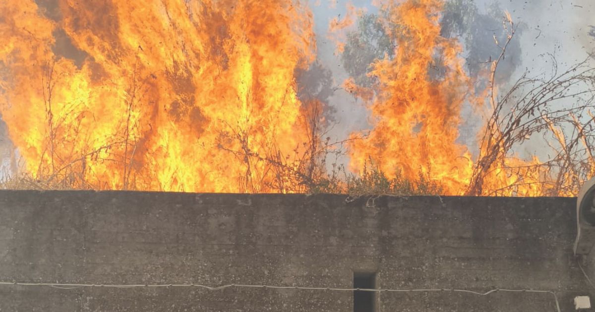 https://www.quotidianodelsud.it/wp-content/uploads/2026/08/incendio-serra-rifusa-matera.jpg