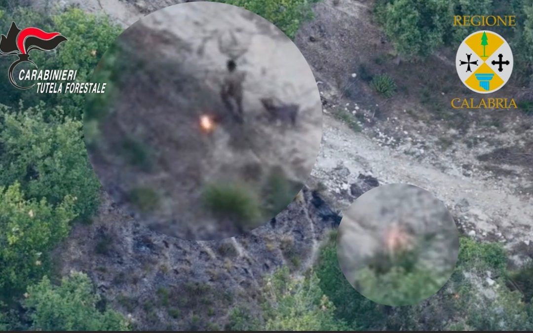 L'uomo ripreso dalle telecamere del drone dopo aver appiccato le fiamme