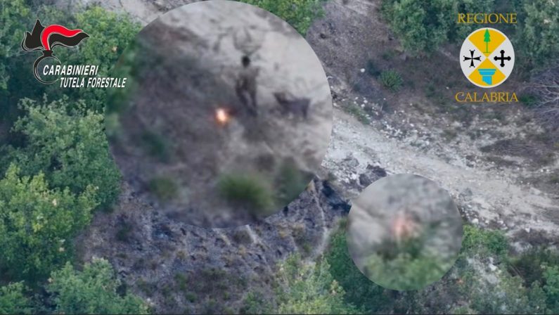 Incendio nel Vibonese, arrestato allevatore ripreso dal drone