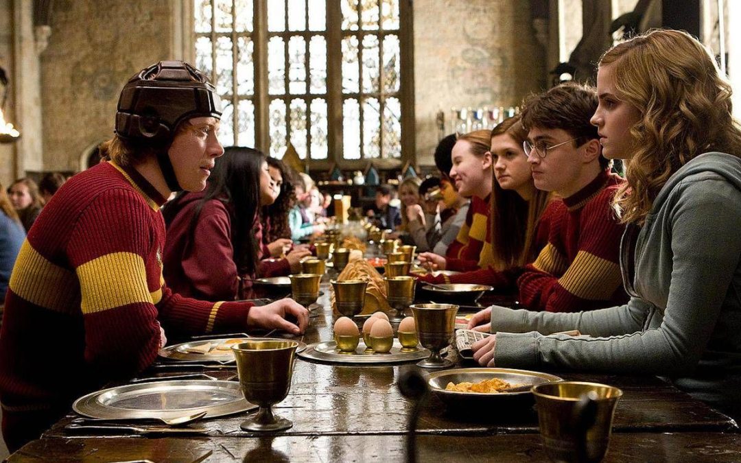 Harry Potter, la protesta dei fan: spostato il cavo sottomarino per la ‘tomba’ di Dobby