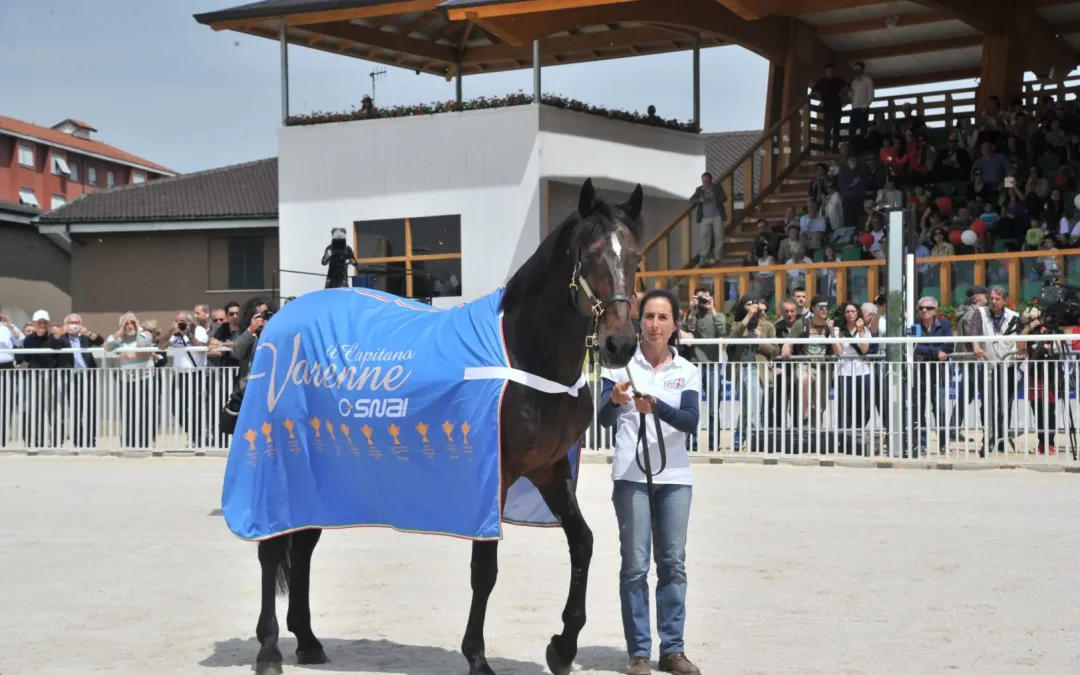 Ippica, è morto Varenne: il cavallo più forte di tutti i tempi