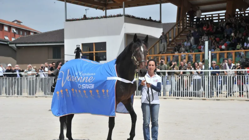 Ippica, è morto Varenne: il cavallo più forte di tutti i tempi